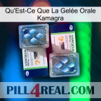 What Is Kamagra Oral Jelly viagra5